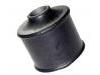 Suspension Bushing:MB002979