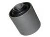 悬架衬套 Suspension Bushing:MB111173