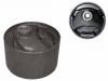 Suspension Bushing Suspension Bushing:MB 436537