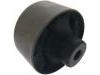 悬架衬套 Control Arm Bushing:4120A001