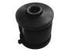 Control Arm Bushing:55116-29000