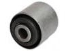 Suspension Bushing:55045-VB010