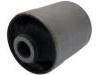 悬架衬套 Control Arm Bushing:55217-4A000