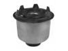 Suspension Bushing Suspension Bushing:62415-3A000