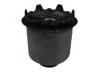 Suspension Bushing Suspension Bushing:62416-4D000